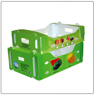 http://irancartonplast.com